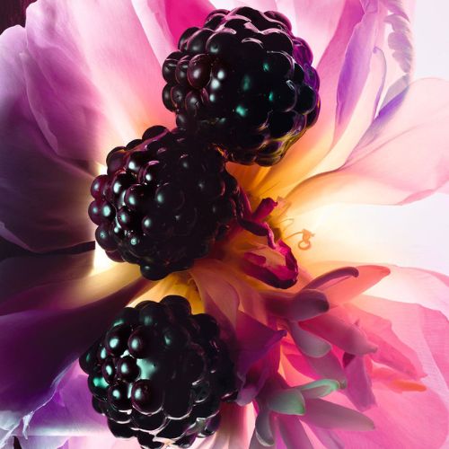 Nước Hoa Christian Dior Miss Dior Essence EDP (2025) 80ml Chính Hãng 14 Nước Hoa Christian Dior Miss Dior Essence EDP