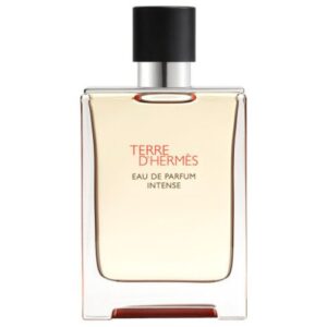 Nước Hoa Hermès Terre d'Hermès Intense EDP