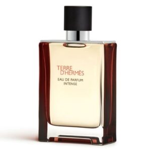 Nước Hoa Hermès Terre d'Hermès Intense EDP