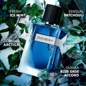 Nước Hoa Yves Saint Laurent Y Iced Cologne EDT Intense