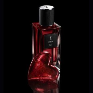 Nước Hoa Yves Saint Laurent Coeur Fetish Amber EDP 125ml Chính Hãng 6 Nước Hoa Yves Saint Laurent Coeur Fetish Amber EDP