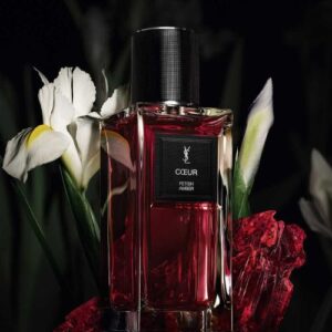Nước Hoa Yves Saint Laurent Coeur Fetish Amber EDP